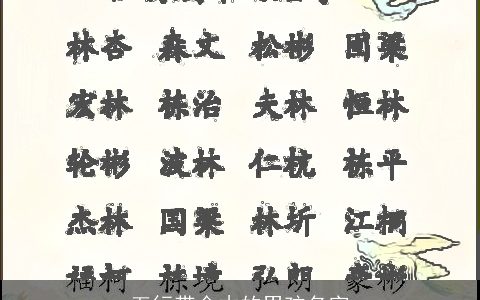 五行带金木的男孩名字