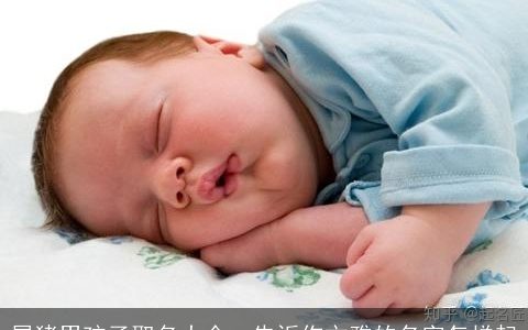 属猪男孩子取名大全  告诉你文雅的名字怎样起