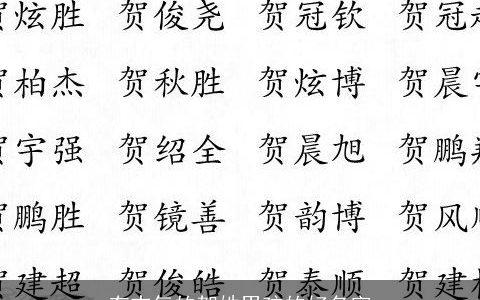 有志气的贺姓男孩的好名字