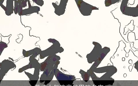 葛姓大气响亮的男孩名字