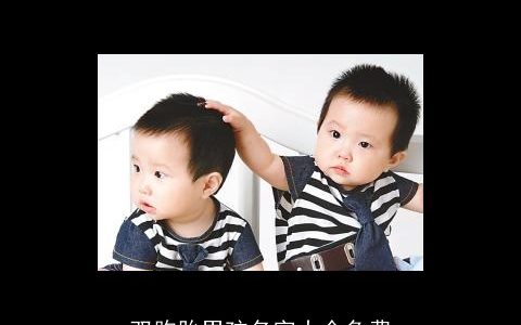 双胞胎男孩名字大全免费