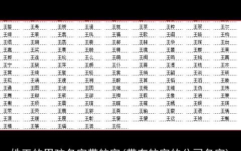 姓王的男孩名字带航字(带有航字的公司名字)