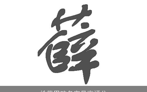 姓薛男孩名字最高评分