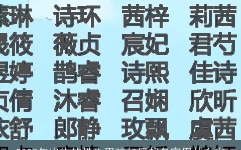2024年出生的姓牛男孩如何起名宜用什么字