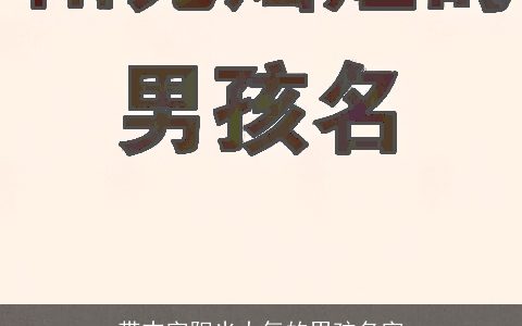 带志字阳光大气的男孩名字