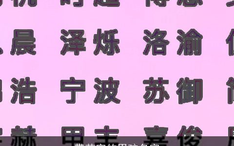 带若字的男孩名字