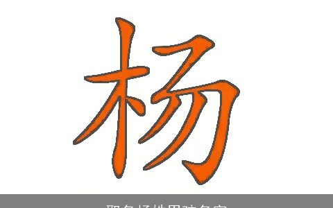 取名杨姓男孩名字