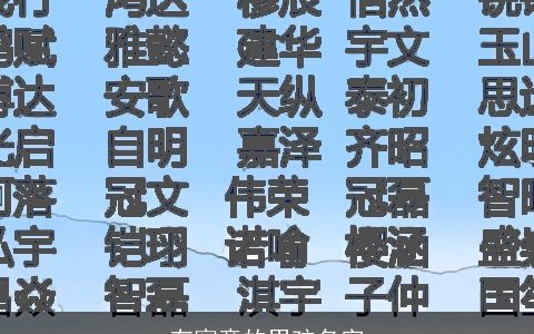 有寓意的男孩名字