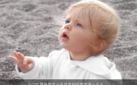 2023年属兔男孩小名简单好听男宝宝小名大全 简单好听的虎男孩小名男宝宝名字大全挑选