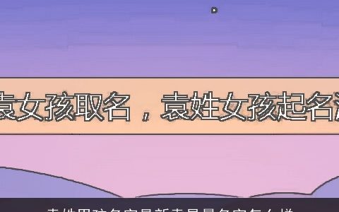 袁姓男孩名字最新袁易晨名字怎么样