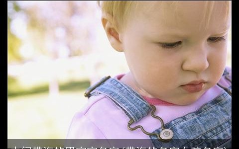 中间带海的男宝宝名字(带海的名字女孩名字)