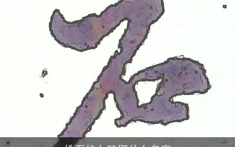 姓石的女孩取什么名字