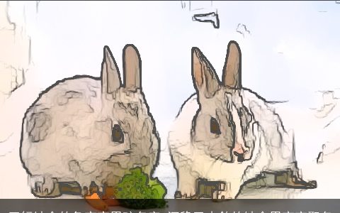 五行缺金的兔宝宝男孩名字 沉稳又内敛的缺金男宝宝取名