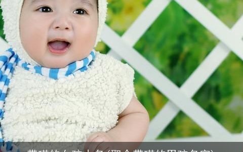 带瑾的女孩小名(取个带瑾的男孩名字)