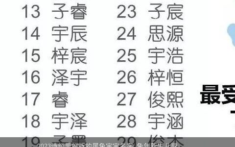 2024诗经里好听的属兔宝宝名字 兔年新生儿取名大全宜用字 温柔文静好听的诗经虎宝宝新生儿名字