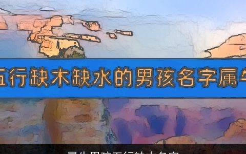 属牛男孩五行缺木名字