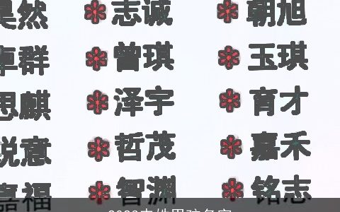 2023申姓男孩名字