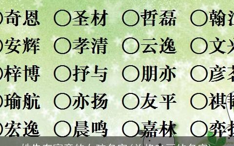 姓朱有寓意的女孩名字(总格31画的名字)