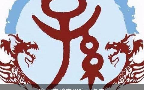 窦姓带鸿字男孩的名字