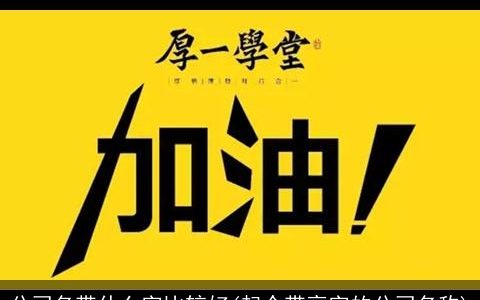 公司名带什么字比较好(起个带亮字的公司名称)