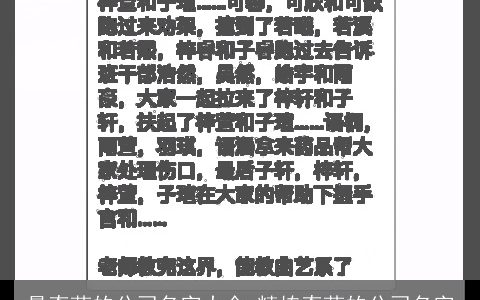 最奇葩的公司名字大全_精拣奇葩的公司名字