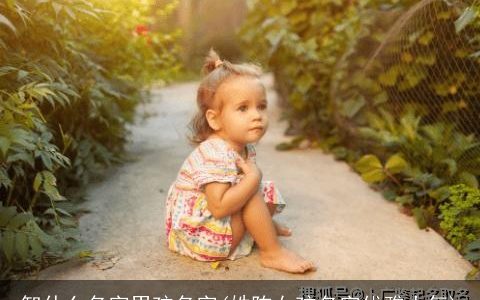 智什么名字男孩名字(姓陈女孩名字优雅大气)