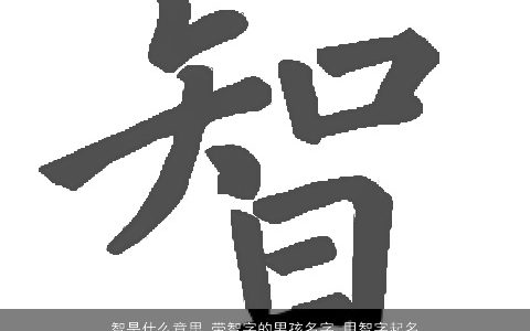 智是什么意思 带智字的男孩名字 用智字起名大全的寓意 2023有涵养寓意的带智字男孩名