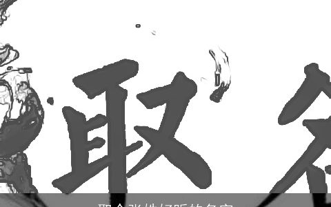 取个张姓好听的名字