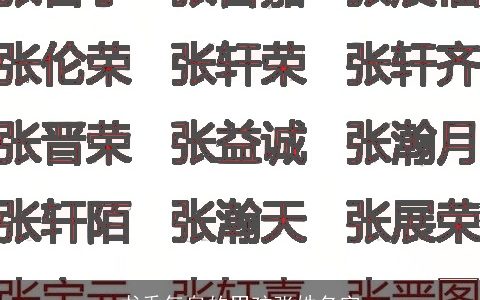 书香气息的男孩张姓名字