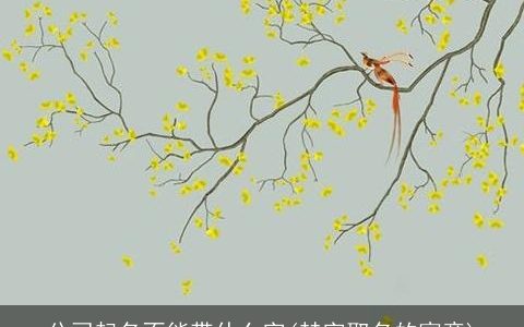 公司起名不能带什么字(赫字取名的寓意)