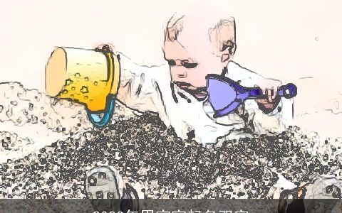 2024年男宝宝起名双字