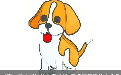 属狗人开公司用什么字最好 高端有气势的企业名