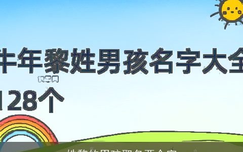 姓黎的男孩取名两个字