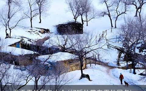 关于雪的网名大全(好听的带有雪的网名)