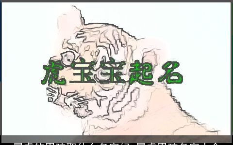 属虎的男孩取什么名字好 属虎男孩名字大全