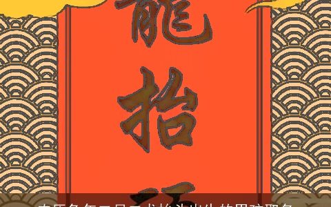 农历兔年二月二龙抬头出生的男孩取名