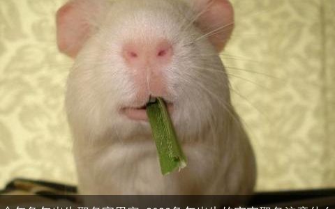 今年兔年出生取名宜用字 2023兔年出生的宝宝取名注意什么