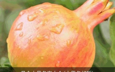 最全水果名字大全(水果名好听)