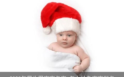 2023年属牛男宝宝名字 怎么给兔宝宝起名