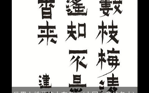 世界上姓薛的人有多少(中国姓薛的名人)