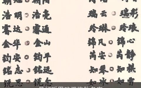 最好听男孩双胞胎名字