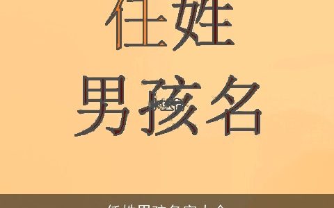 任姓男孩名字大全