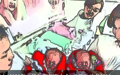 2023年龙凤胎取名字大全 龙凤胎姓名2023