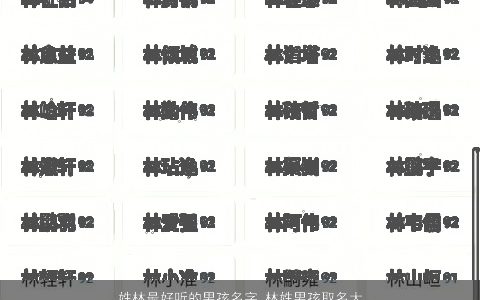 姓林最好听的男孩名字 林姓男孩取名大全诗意古风 好听诗意古风的林姓男孩名