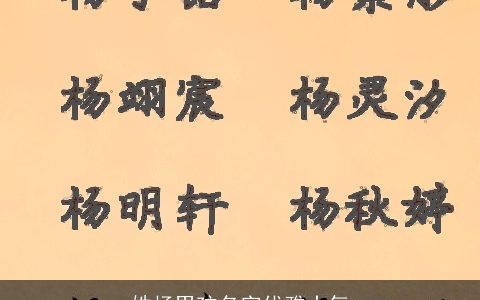 姓杨男孩名字优雅大气