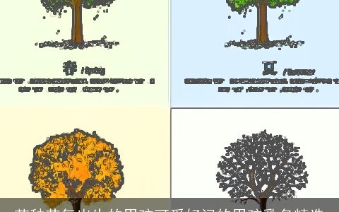 芒种节气出生的男孩可爱好记的男孩乳名精选