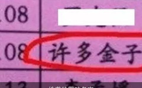 姓龚的男孩名字