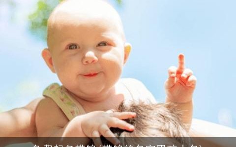 免费起名带锦(带锦的名字男孩小名)