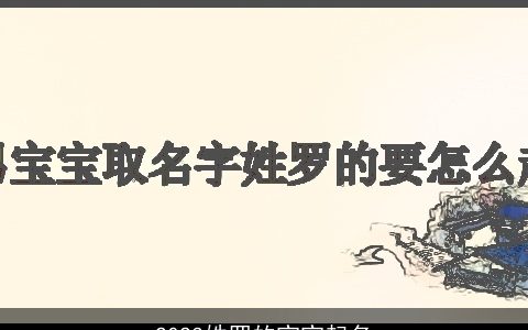 2024姓罗的宝宝起名