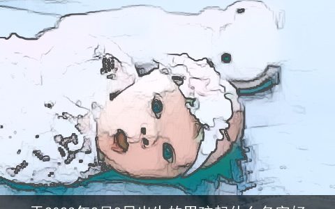 于2023年2月8日出生的男孩起什么名字好